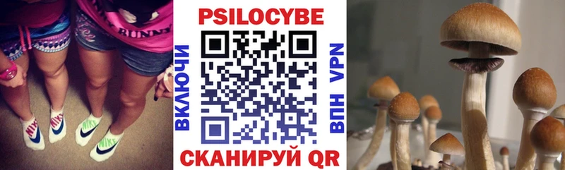 Галлюциногенные грибы Psilocybine cubensis  Урюпинск 